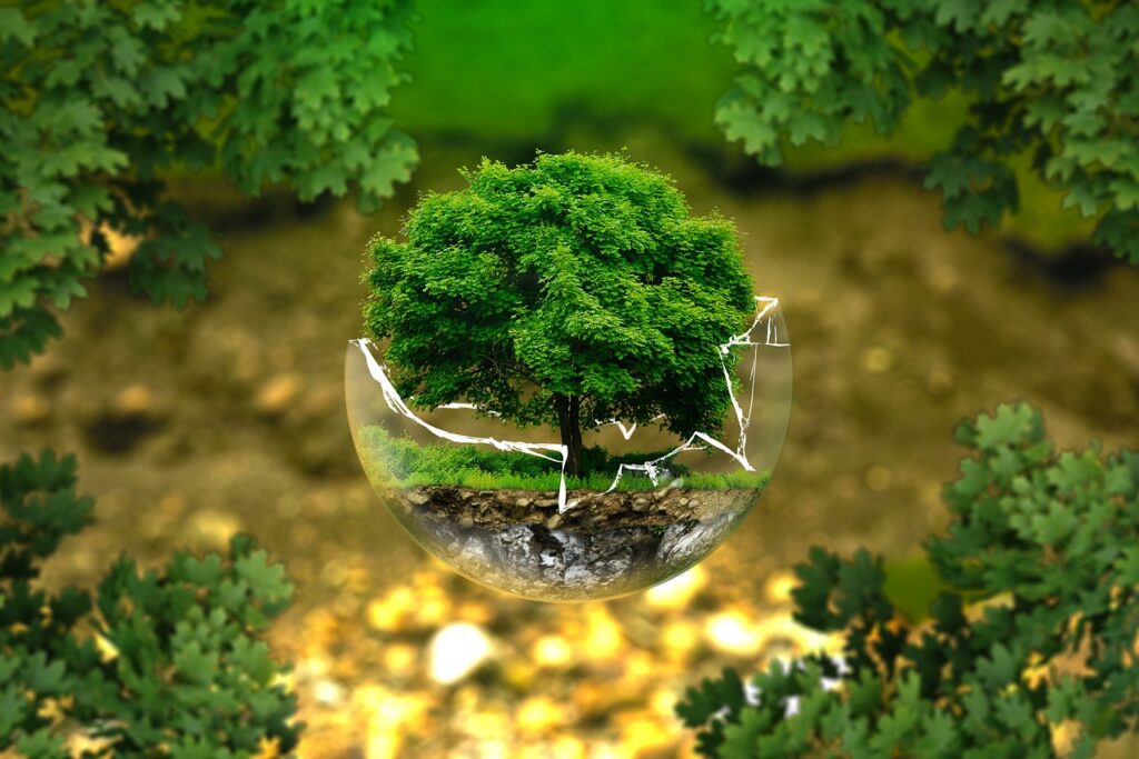 Environmental protection showing tree in smashed glass ball