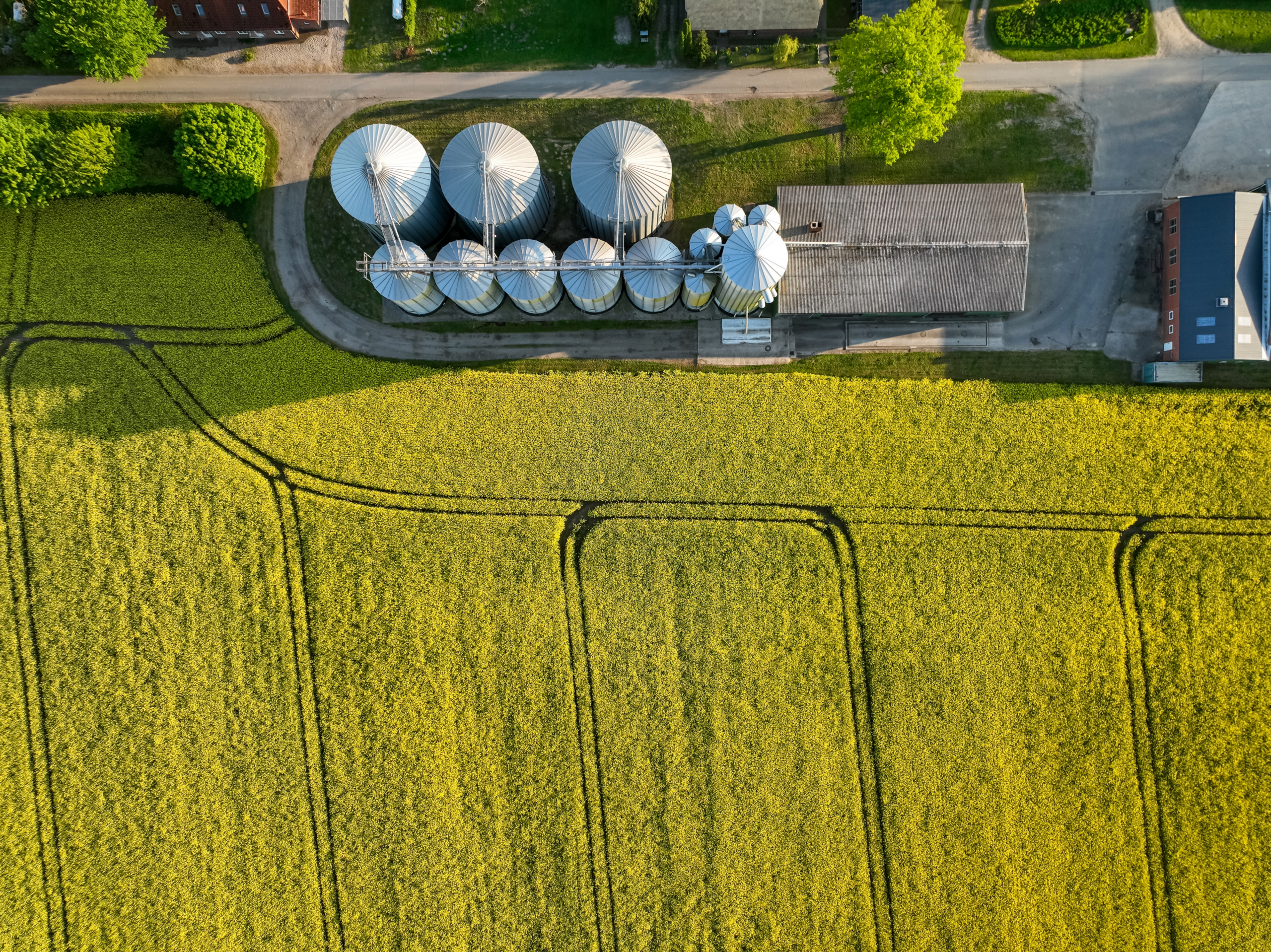 VTTI Launches Vida Bioenergy