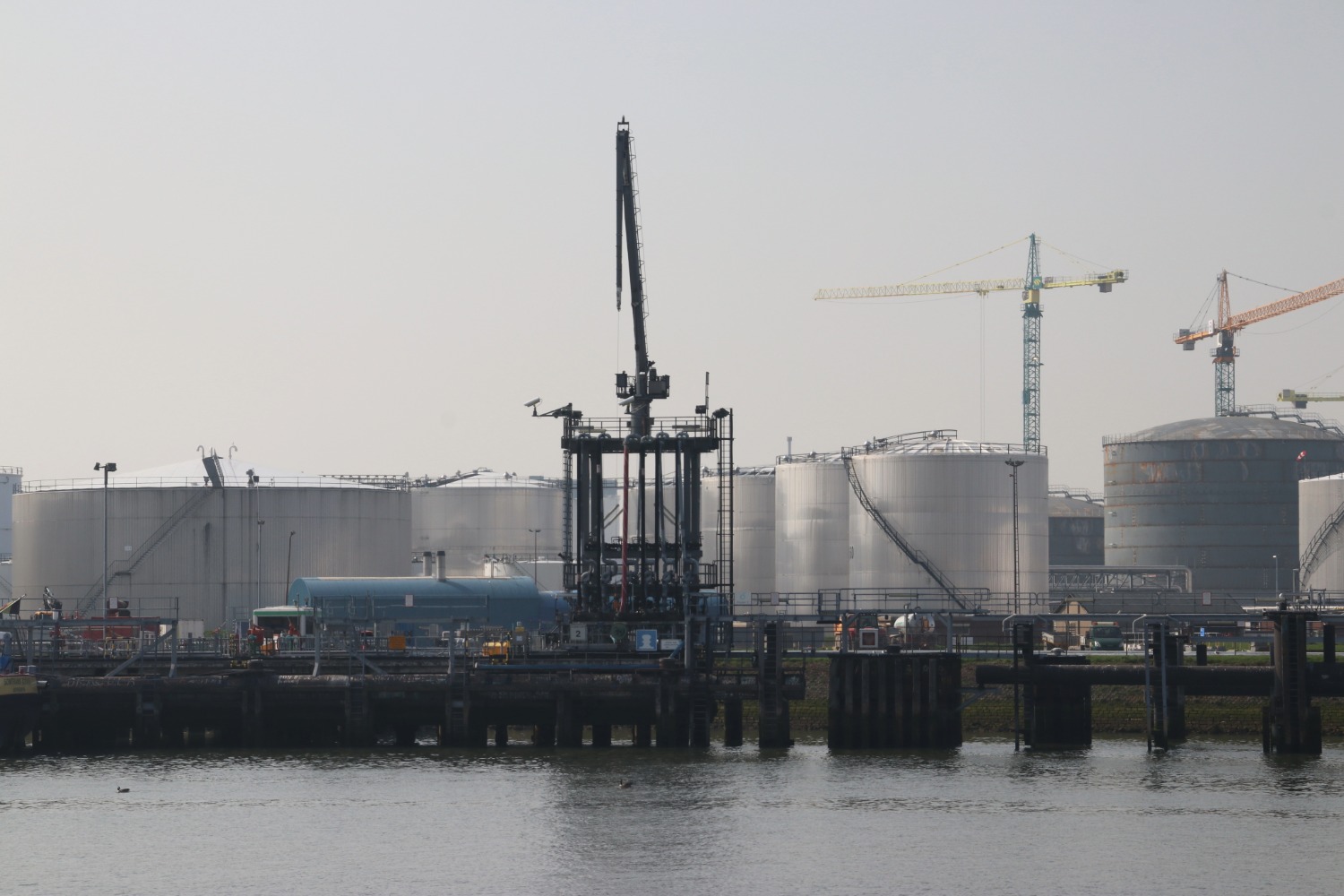 Shell Halts Pernis Biofuel Plant