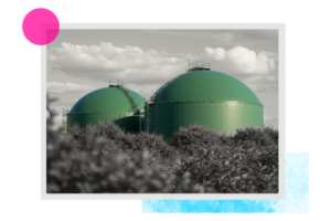 Sensor Technology to Unlock Green Ammonia Corridors