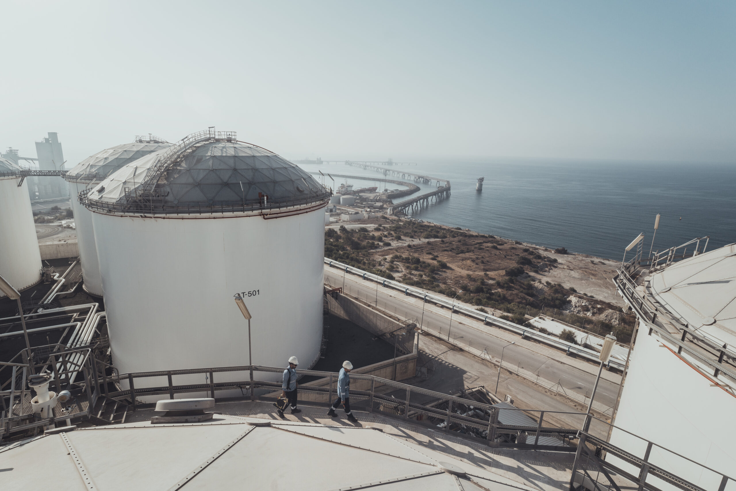 VTTV: Longevity In The Mediterranean
