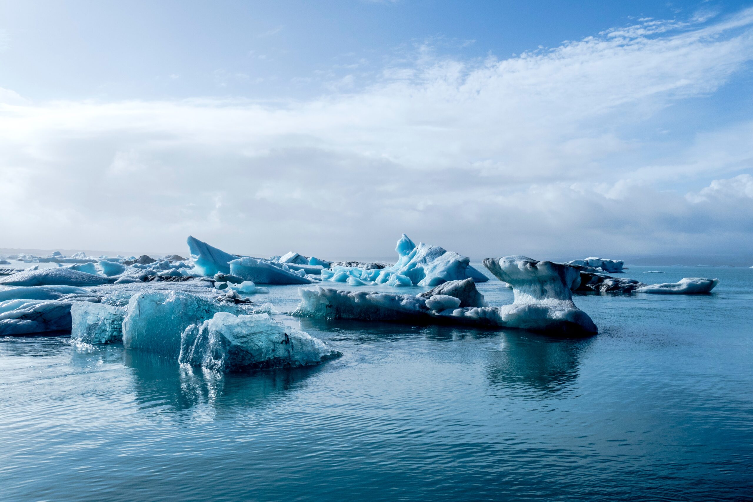 Icebergs in the water