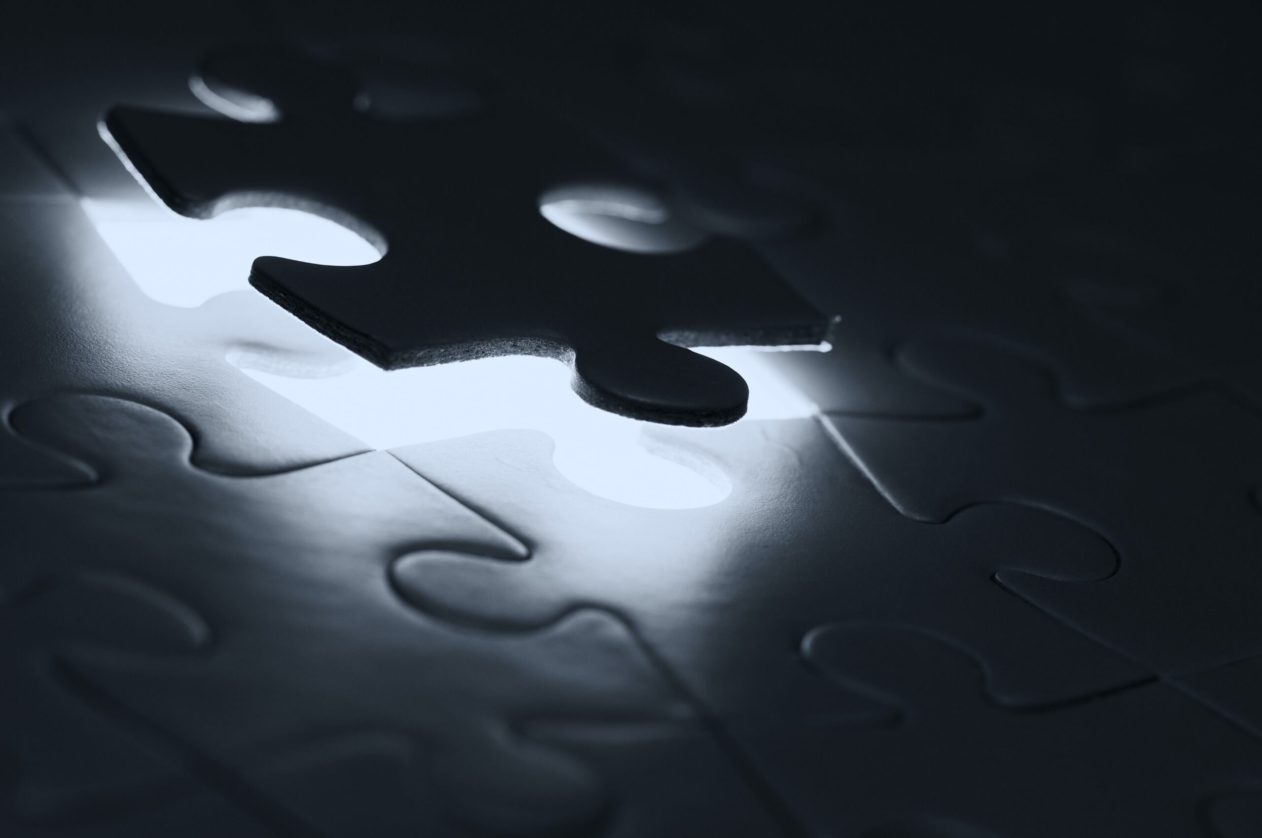 Resilium: You Can’t Manage What You Don’t Understand