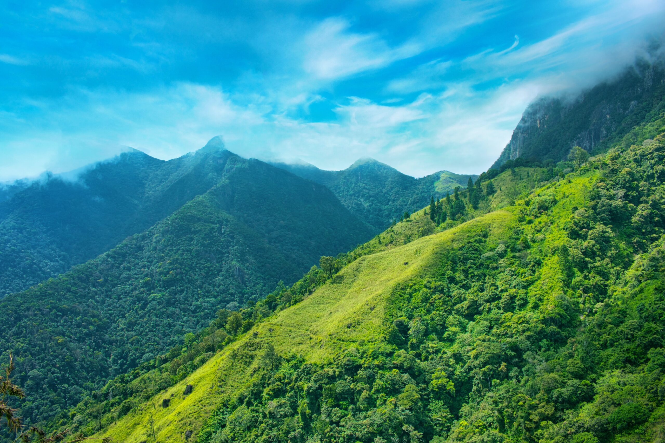 Adler & Allan Acquire MEL Environmental Solutions
