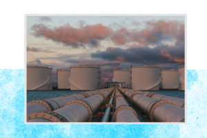 MTVP: An Evolving Regulatory Concept